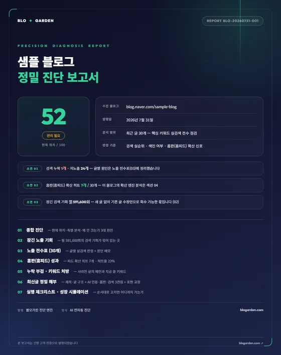 정밀 진단 보고서 표지 미리보기 — 블로그명과 현재 위치, 소견 3줄